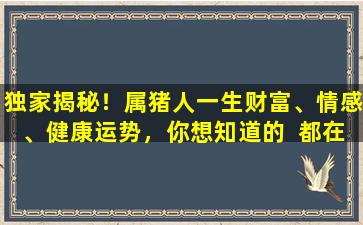 独家揭秘！属猪人一生财富、情感、健康运势，你想知道的  都在这里！